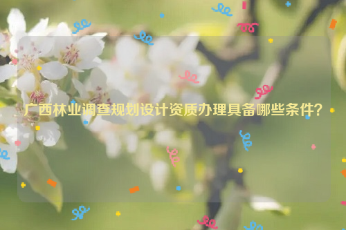 廣西林業(yè)調(diào)查規(guī)劃設(shè)計資質(zhì)辦理具備哪些條件？