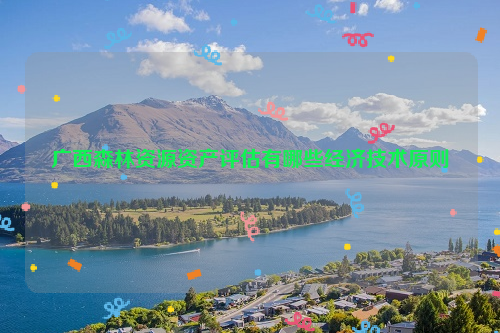 廣西森林資源資產(chǎn)評估有哪些經(jīng)濟技術(shù)原則