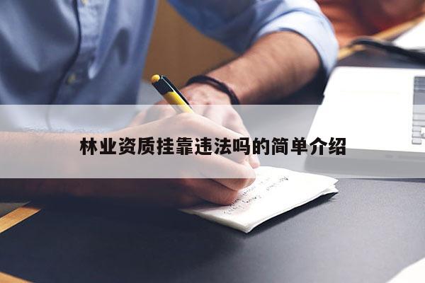 林業(yè)資質掛靠違法嗎的簡單介紹