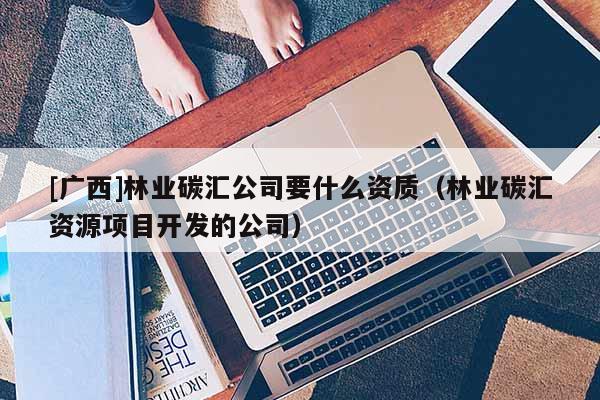 [廣西]林業(yè)碳匯公司要什么資質（林業(yè)碳匯資源項目開發(fā)的公司）