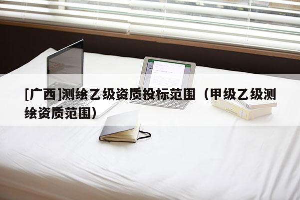 [廣西]測(cè)繪乙級(jí)資質(zhì)投標(biāo)范圍（甲級(jí)乙級(jí)測(cè)繪資質(zhì)范圍）