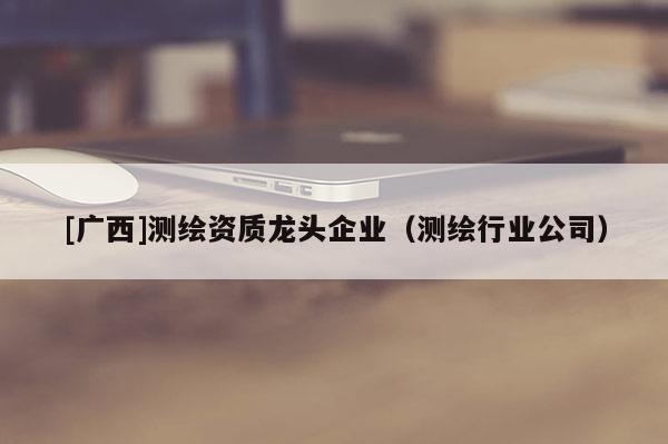 [廣西]測(cè)繪資質(zhì)龍頭企業(yè)（測(cè)繪行業(yè)公司）