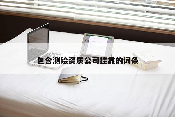 包含測繪資質(zhì)公司掛靠的詞條