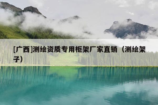 [廣西]測(cè)繪資質(zhì)專用柜架廠家直銷（測(cè)繪架子）