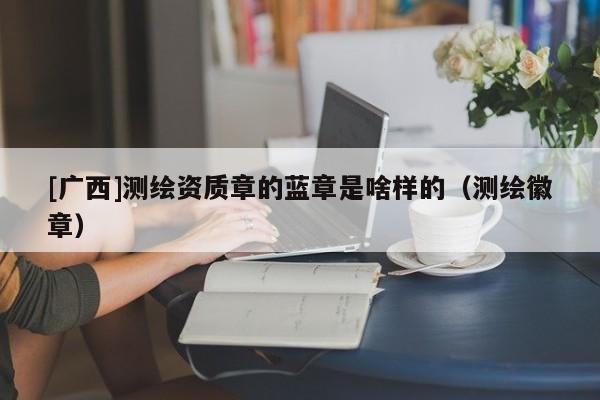 [廣西]測(cè)繪資質(zhì)章的藍(lán)章是啥樣的（測(cè)繪徽章）