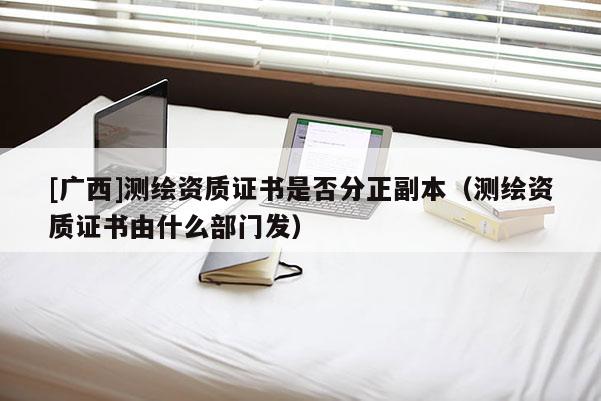[廣西]測(cè)繪資質(zhì)證書(shū)是否分正副本（測(cè)繪資質(zhì)證書(shū)由什么部門(mén)發(fā)）
