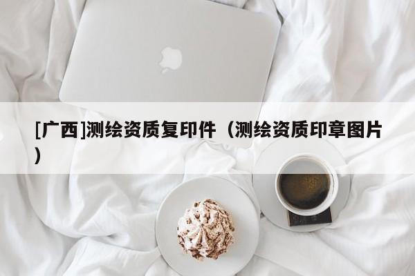 [廣西]測(cè)繪資質(zhì)復(fù)印件（測(cè)繪資質(zhì)印章圖片）
