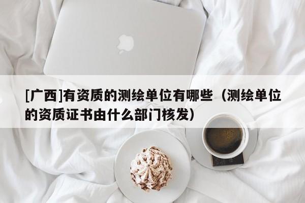 [廣西]有資質(zhì)的測(cè)繪單位有哪些（測(cè)繪單位的資質(zhì)證書(shū)由什么部門(mén)核發(fā)）
