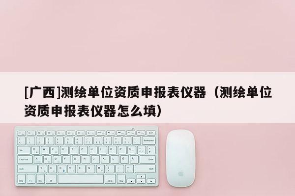 [廣西]測繪單位資質申報表儀器（測繪單位資質申報表儀器怎么填）
