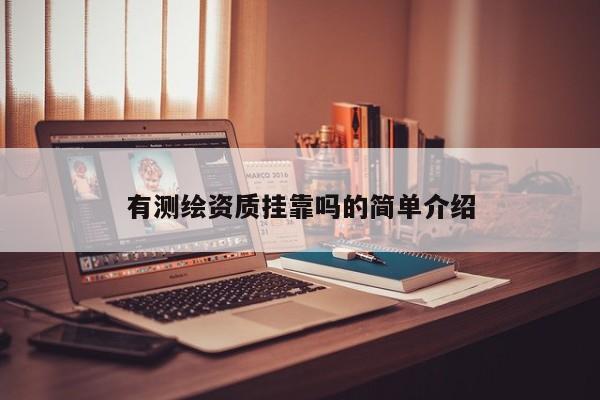 有測(cè)繪資質(zhì)掛靠嗎的簡(jiǎn)單介紹