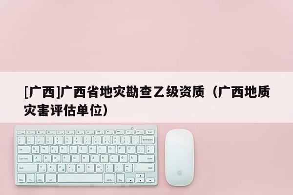 [廣西]廣西省地災勘查乙級資質(zhì)（廣西地質(zhì)災害評估單位）