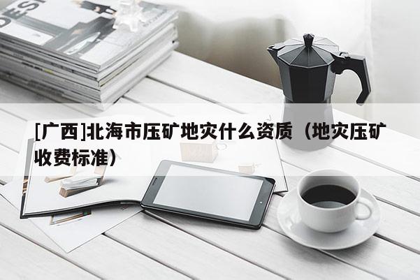[廣西]北海市壓礦地災什么資質（地災壓礦收費標準）